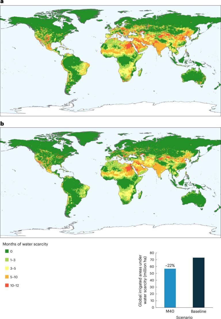 Wereldwijd model toont aan hoe dieet de ecologische impact kan verlagen