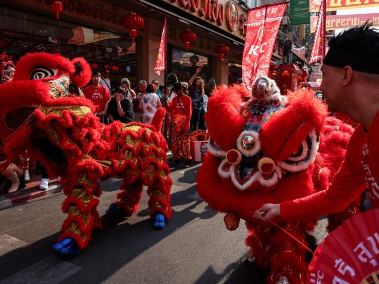 Wie viert het Chinese Lente Festival van de Slang en op welke manier?