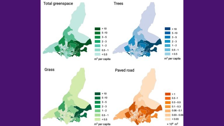 AI-systeem brengt stedelijke groene ruimtes nauwkeurig in kaart en onthult milieuverschillen