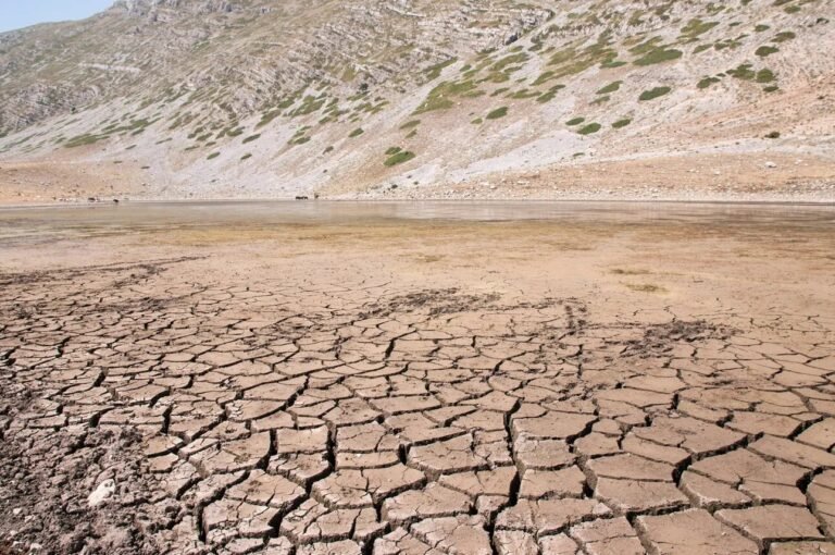 Boomringgegevens onthullen klimaatgedreven droogteversch shifts in Europa en Azië