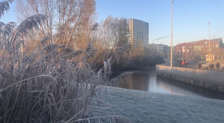 Eerste gematigde vorst van het seizoen treft Nederland