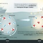 Klimaatverandering verandert mariene nutriëntencycli, volgens wetenschappers