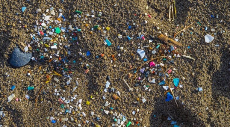 Microplastics Aangetroffen in Menselijke Hersenweefsels; Hogere Concentraties bij Mensen met Dementie – Onderzoek