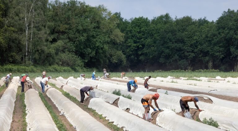 Minister dreigt met sluiting van bedrijven die migrantarbeiders uitbuiten