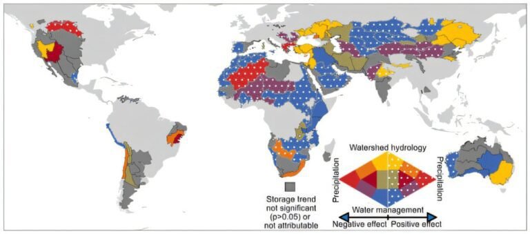 Ontkoppeling van wateropslag en neerslag in droge gebieden benadrukt menselijke impact