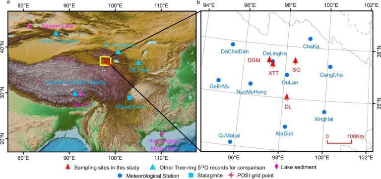  Oude boomringen onthullen de impact van het klimaat op de Chinese dynastieke geschiedenis