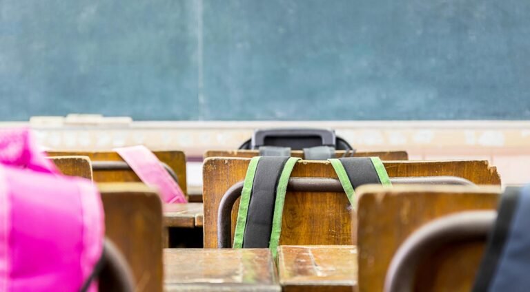 Stijgende Psychologische Geweld door Pesters op Nederlandse Scholen, volgens Inspectie