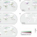 Strategie van 'klimaatplantages' ondervindt obstakels: Onderzoek toont beperkte koolstofafvangcapaciteit binnen veilige grenzen