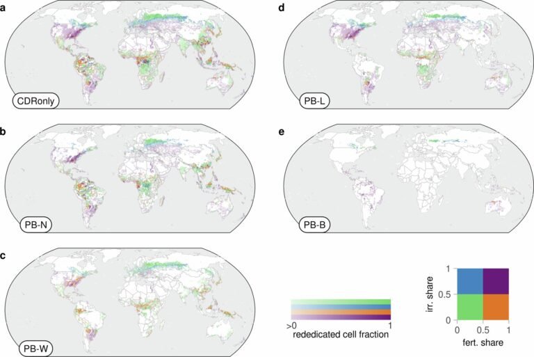 Strategie van 'klimaatplantages' ondervindt obstakels: Onderzoek toont beperkte koolstofafvangcapaciteit binnen veilige grenzen