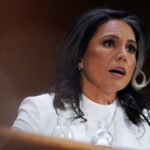 Tulsi Gabbard Bevestigd als Directeur van de Amerikaanse Nationale Inlichtingendienst