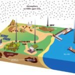 Vragen en Antwoorden: Wat de natuurwetten ons leren over CO₂-verwijdering