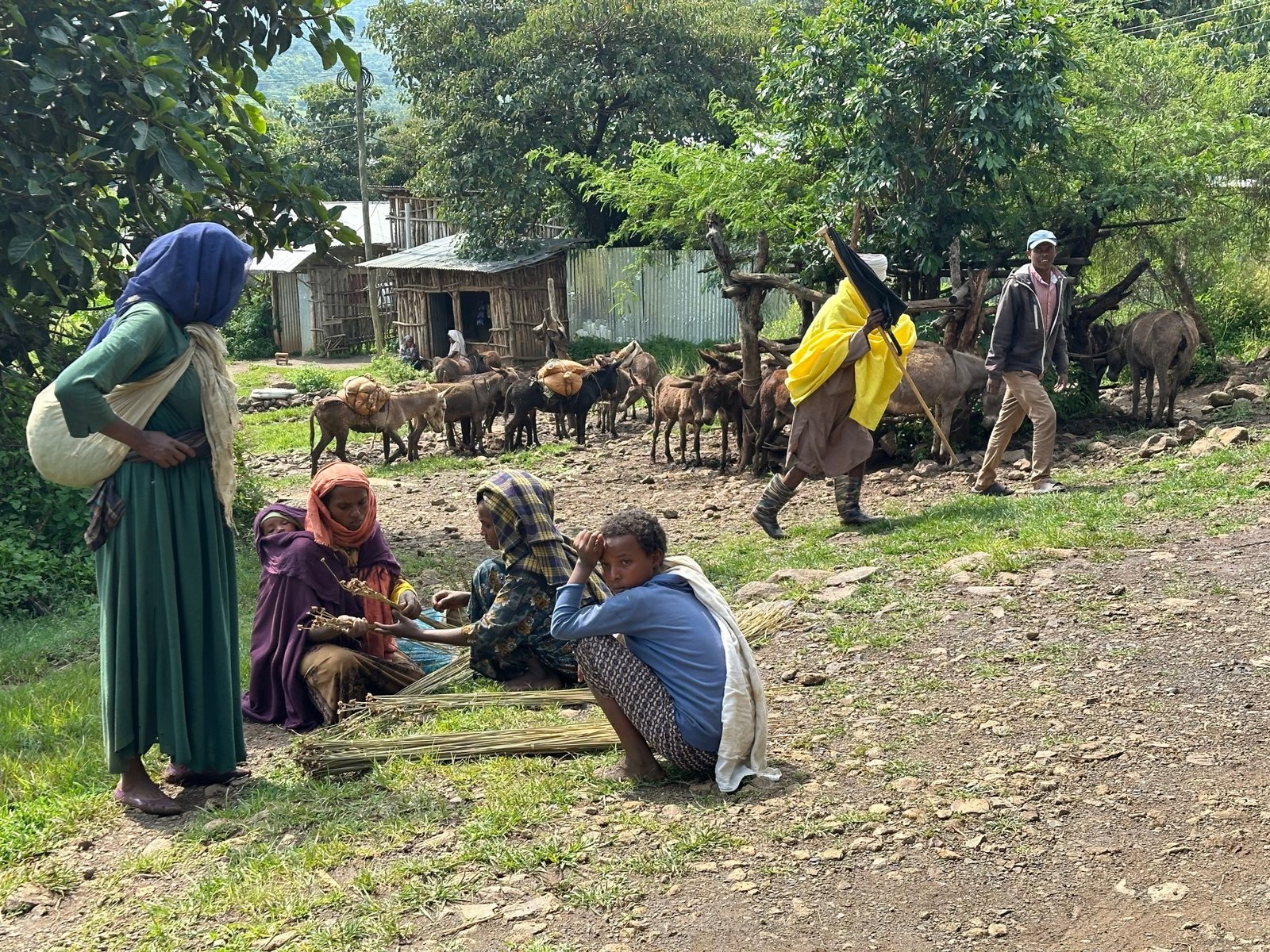 Antioorlogsgemeenschap in het kruisvuur van het Amhara-conflict in Ethiopië