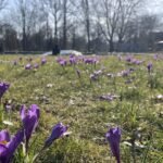 Recordhoogte van 17,8 graden gemeten op 7 maart in De Bilt