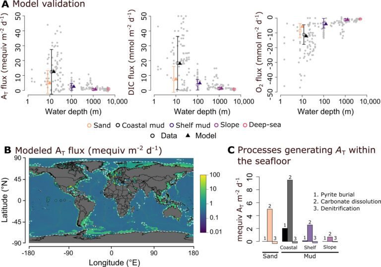 Simulatie toont aan dat sleepnetvisserij en baggeren invloed hebben op de processen achter de natuurlijke productie van oceaanalkaliteit