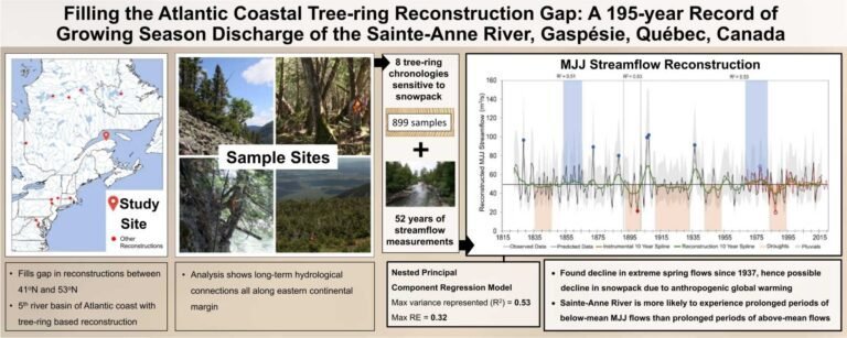 Boomringen uit de Gaspésiemountains in Canada onthullen effecten van klimaatverandering van bijna een eeuw geleden