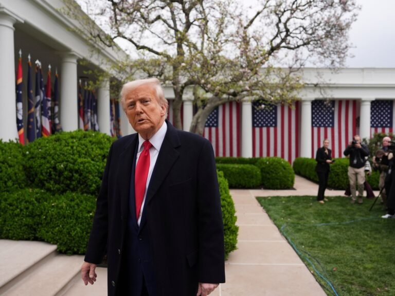 Heeft Donald Trump 'de grootste belastingverhoging in ons leven' opgelegd?
