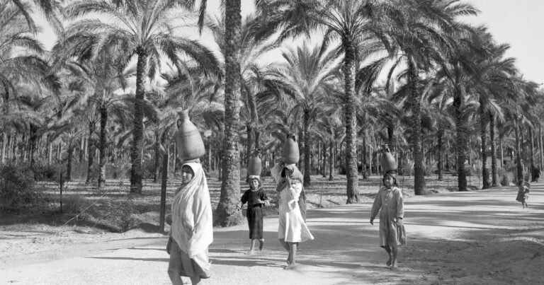 Het Hawaii van Israël: Hoe Trump een Langdurige Israëlische Visie Legitimeerde