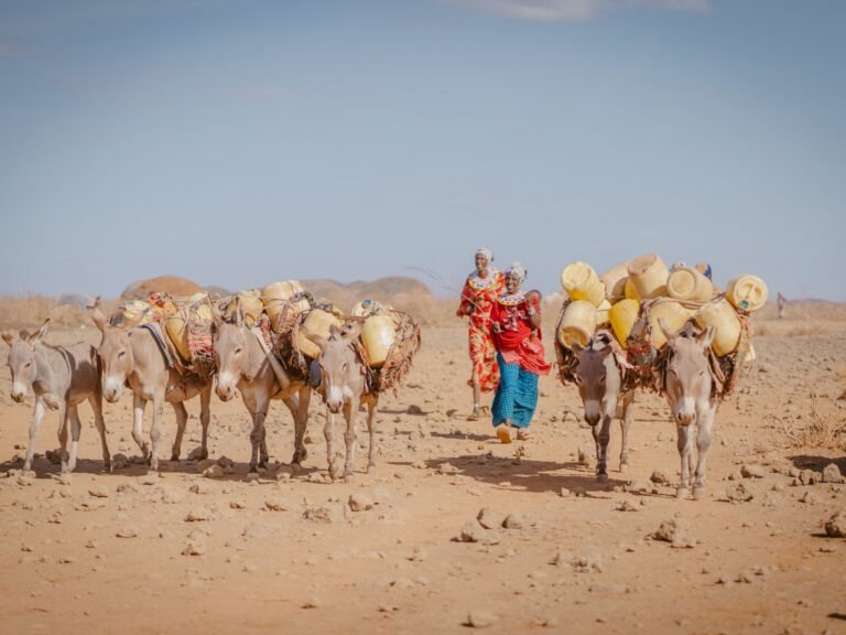 Meisjes in Kenia Verkocht voor Huwelijk om Hongersnood door Droogte te Voorkomen