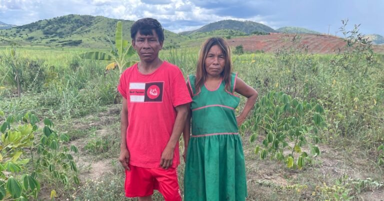 Met muziek en zaden: Maxakali-indigenen in Braziliƫ strijden tegen klimaatverandering