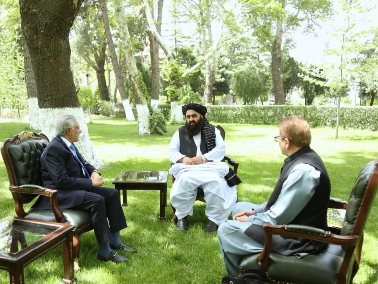 Na een jaar van vijandigheid streven Pakistan en Afghanistan naar diplomatiek herstel