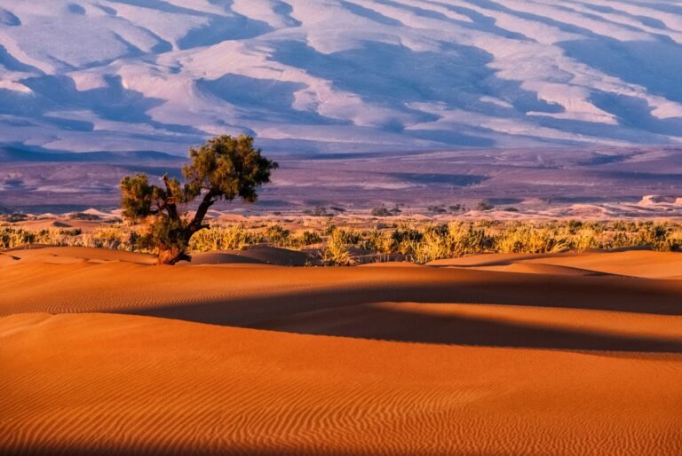 Onderzoek onthult 8 miljoen jaar 'Groen Arabië'