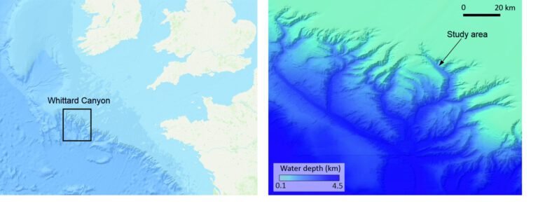 Onderzoekers onthullen hotspots van microplastics in de diepzee veroorzaakt door snelbewegende onderwaterlawines