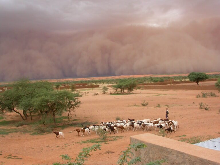 Onderzoeksresultaten: Bodemomstandigheden Versterken Neerslag in de Wereldwijde Megastorm Hotspots
