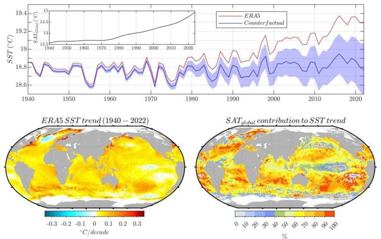 Opwarming van de aarde heeft de duur van mariene hittegolven sinds 1940 verdrievoudigd, blijkt uit modelstudie