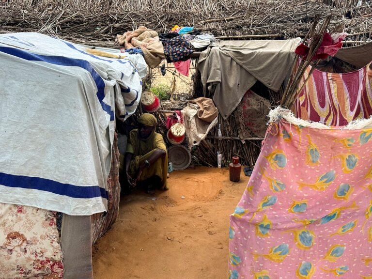 Paramilitairen in Sudan doden minstens 100 mensen tijdens aanval in Darfoer, volgens de VN