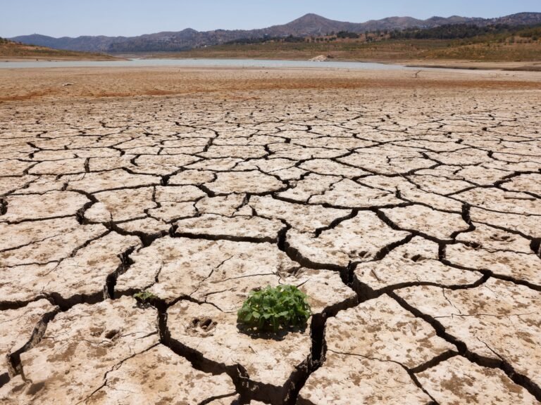 Recordtemperaturen wereldwijd in maart tonen bedreiging voor klimaatdoelen aan