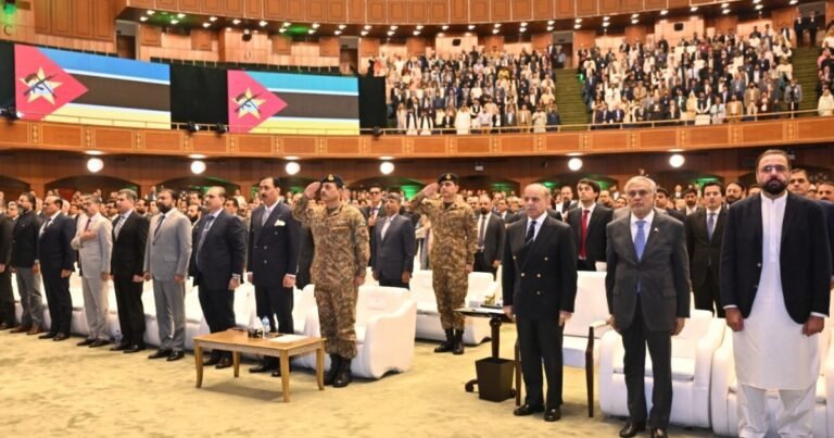 Strijd om de diaspora: Pakistaanse regering probeert expats te winnen ondanks invloed van Imran Khan