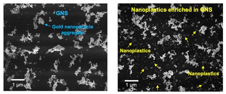 Wetenschappers ontwikkelen ultraprecisie, efficiƫnte en flexibele techniek voor het tellen en analyseren van nanoplastics