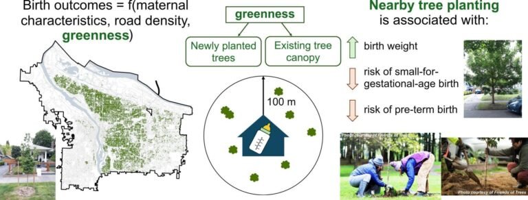 Wonen nabij nieuw geplante bomen gekoppeld aan gezondere geboorte-uitkomsten bij pasgeborenen