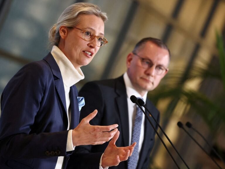 AfD Rechtszaak Tegen 'Extremist' Classificatie; Duitsland Weert Amerikaanse Critiek