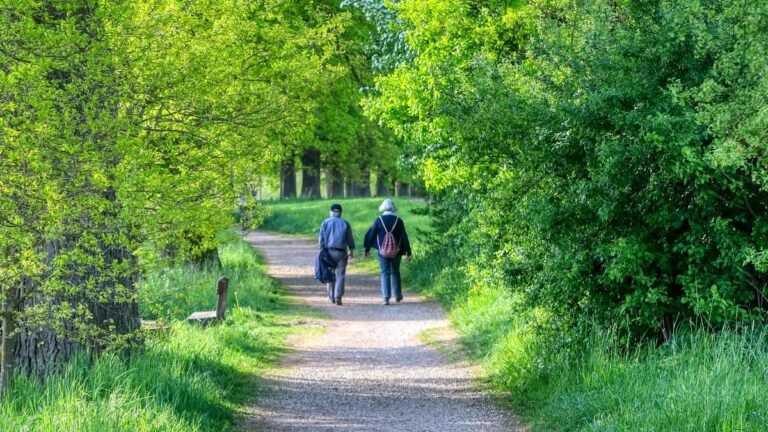 Bespaart u slim? Ontdek de beste pensioenadviezen van experts