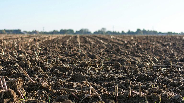 De Kracht van Eenvoud: Begrijpen van Bodemvochtigheid