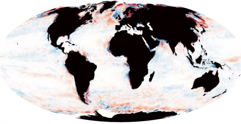 Een Vijfde Van de Wereldzeeën Wordt Donkerder, Wat Leidt Tot Vermindering Van Essentiële Fytische Zones