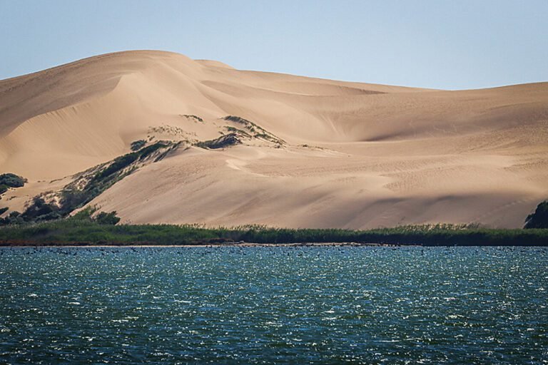 Klimaatverandering verandert kustlagunes in 'zoute soep', maar herstelmaatregelen kunnen helpen