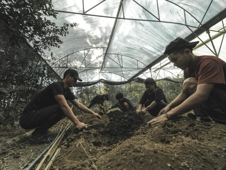 Nagaland: Nieuwe Hoop voor Koffieliefhebbers met Innovatieve Koffieproductie