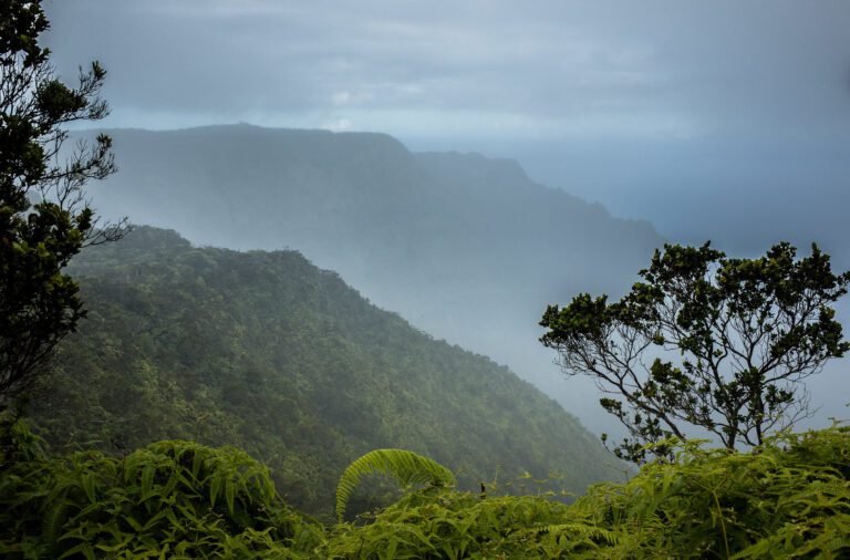 Niet alleen El Niño: Nieuw klimaatfenomeen beïnvloedt de neerslag op Hawai'i