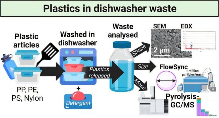 Onderzoek toont aan: Plastic containers reinigen in de vaatwasser veroorzaakt microplasticvervuiling