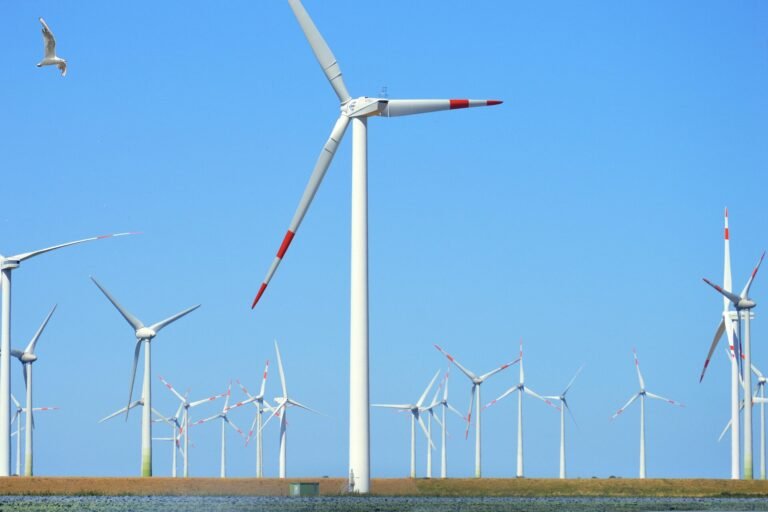 Onderzoek toont aan dat de productie van hernieuwbare energie mogelijk de productie van fossiele brandstoffen niet verlaagt