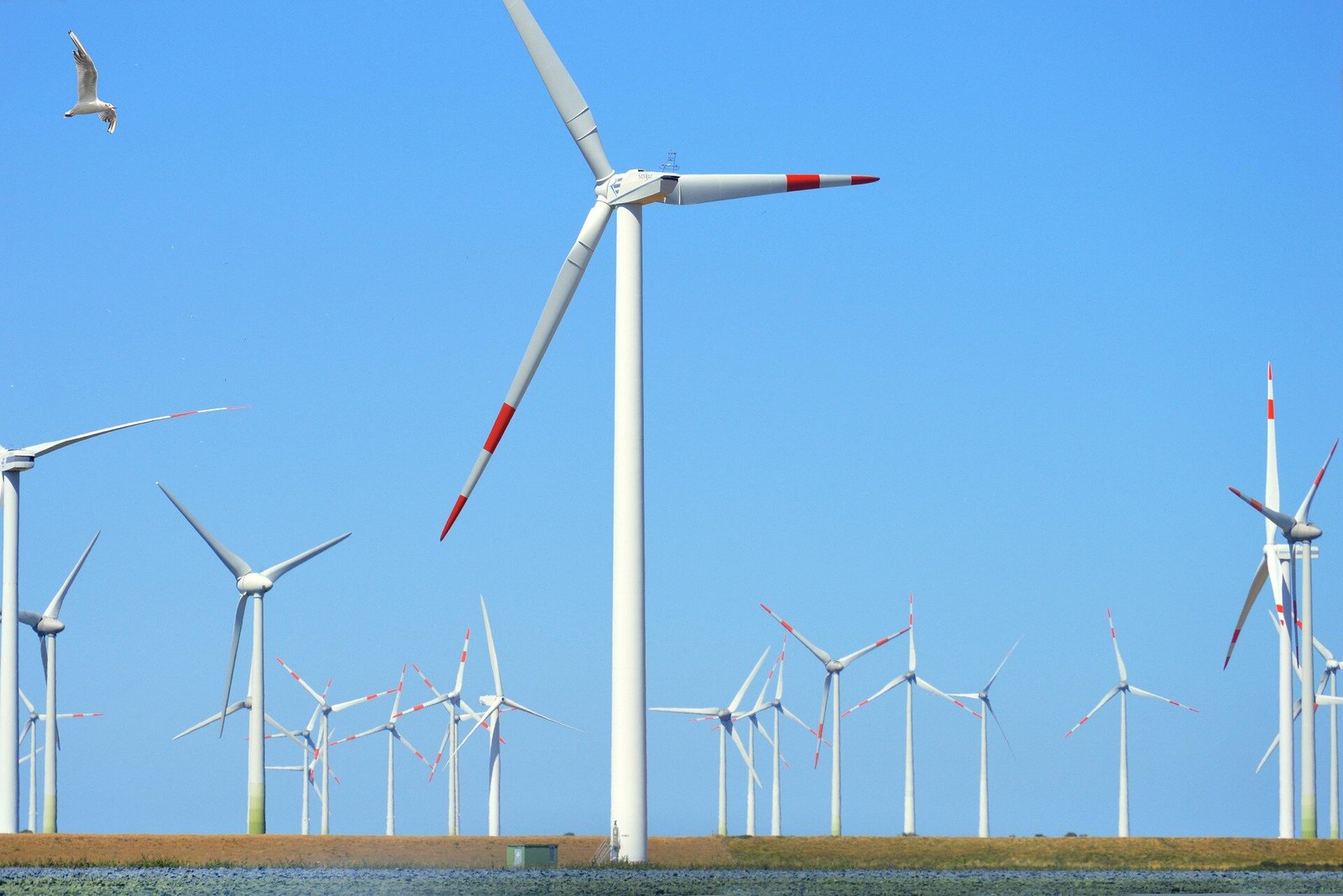 Onderzoek toont aan dat de productie van hernieuwbare energie mogelijk de productie van fossiele brandstoffen niet verlaagt