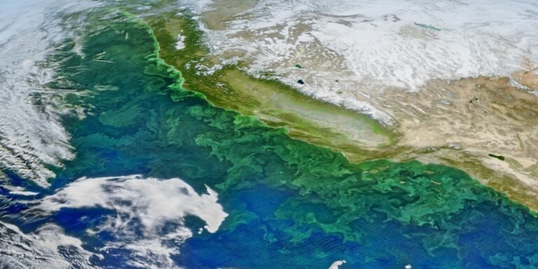 Onderzoekers ontwikkelen nieuwe methode voor het volgen van oceaan-koolstof vanuit de ruimte