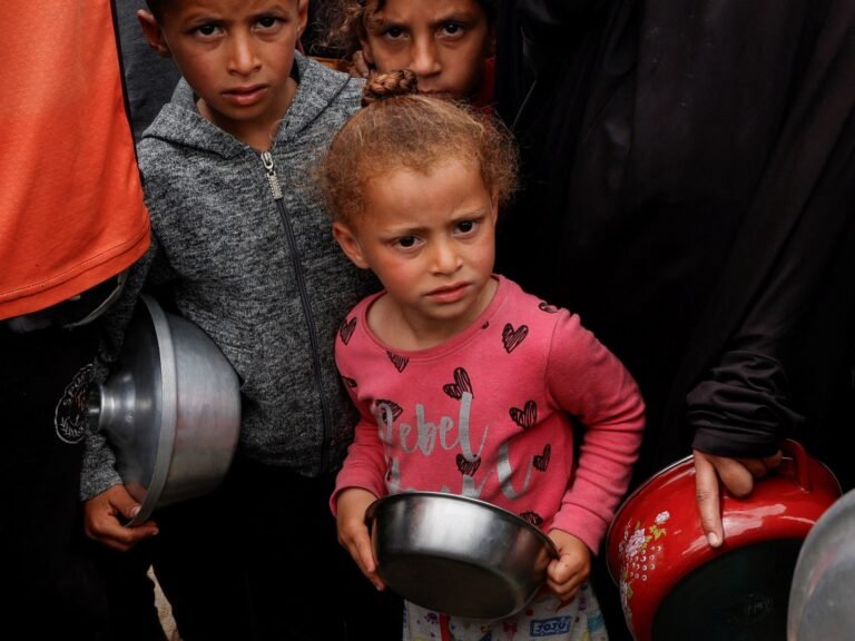 Rode Kruis waarschuwt dat hulpverlening in Gaza op rand van instorting staat door Israëlische blokkade