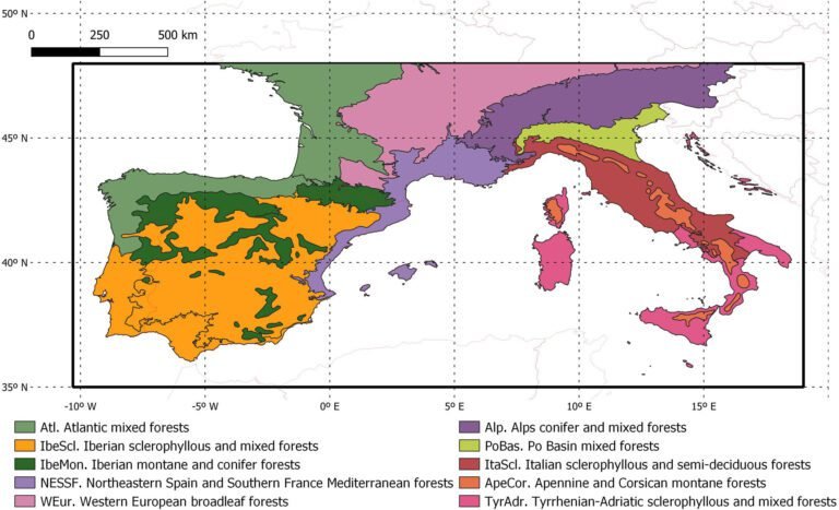 Studie toont aan dat droogtes en hittegolven de CO₂-opnamecapaciteit van planten verminderen