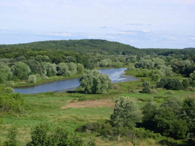 Thoreau's Rivierobservaties na 170 Jaar: Inzichten voor ons Veranderend Klimaat