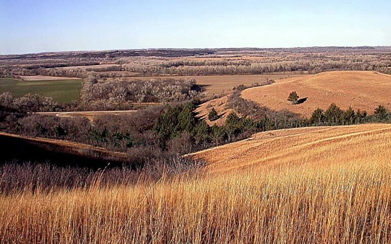Veranderende prairie: Nieuwe studie onthult oorzaken van oude klimaatveranderingen