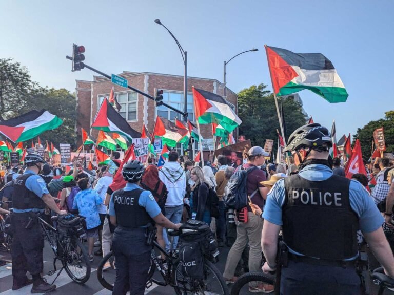 Wat is Project Esther, het strategieplan tegen de pro-Palestijnse beweging in de VS?