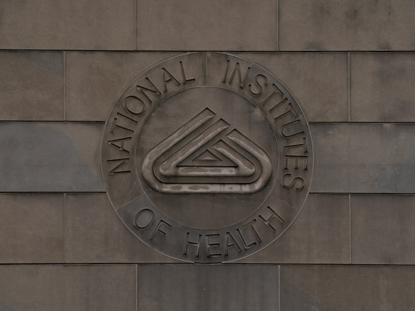 Amerikaanse rechter verklaart Trump’s bezuinigingen op NIH-subsidies ‘illegaal’